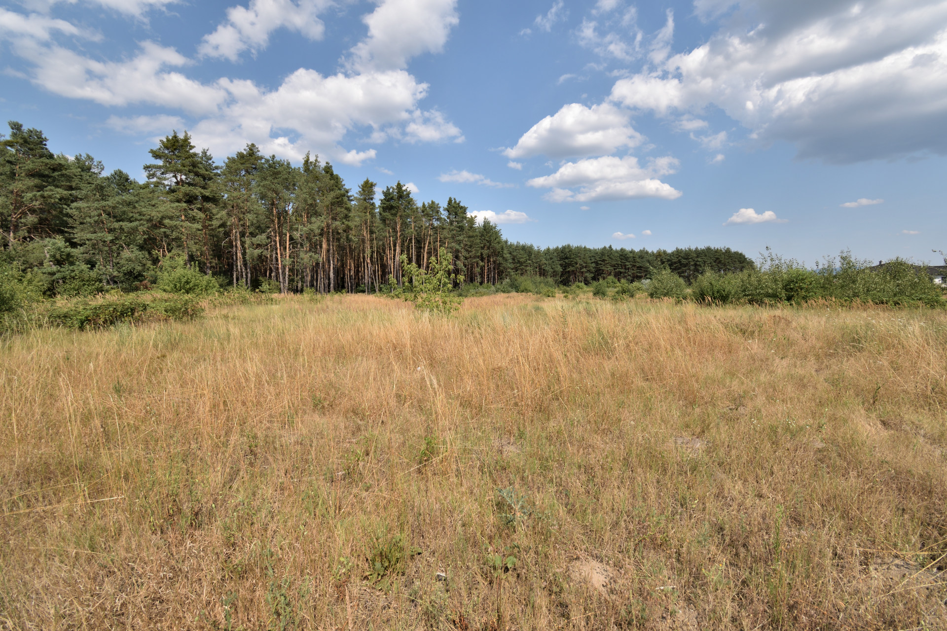 Lukratívny pozemok na predaj 15.691m2, Závod - okres Malacky